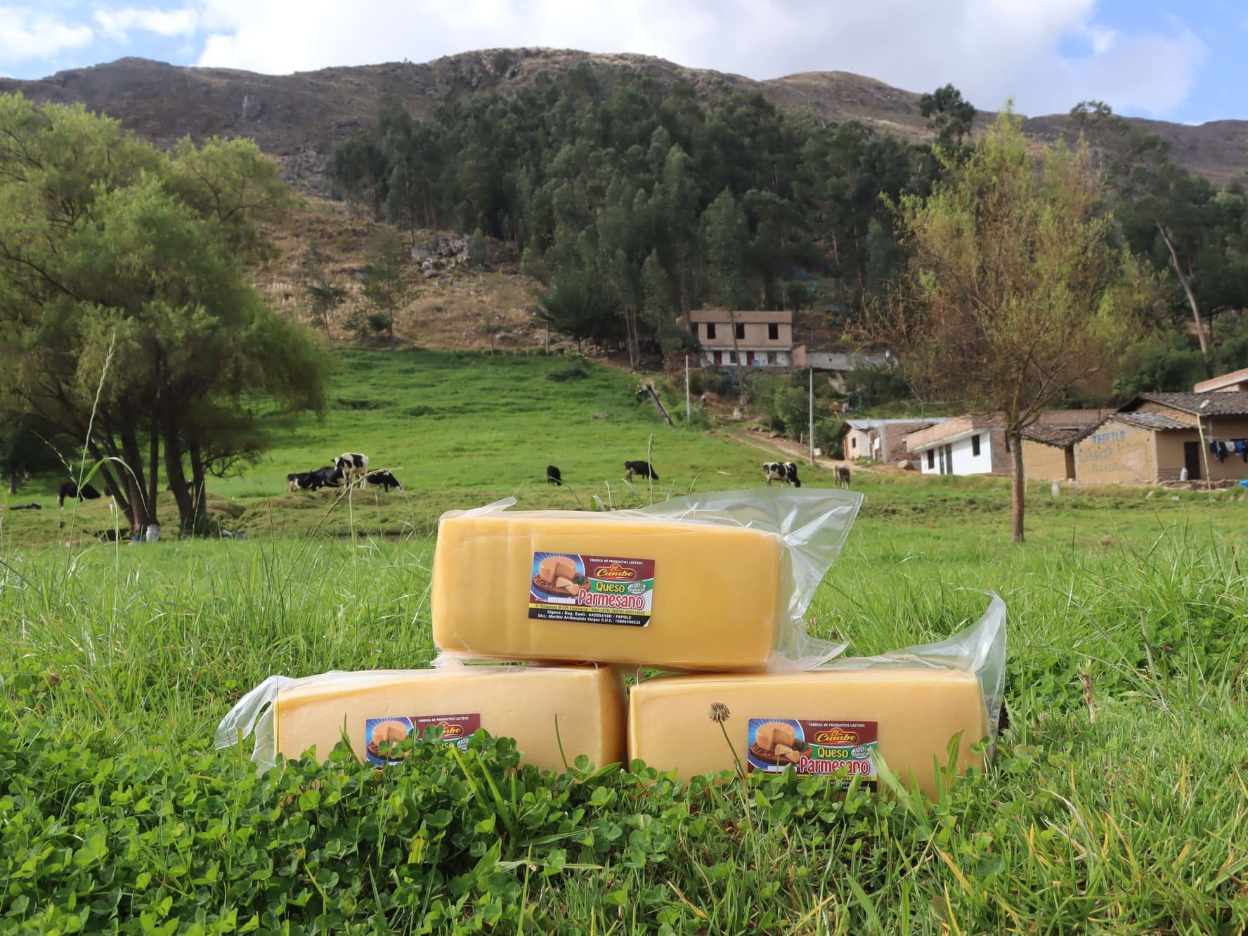 queso parmesano 3 kilos